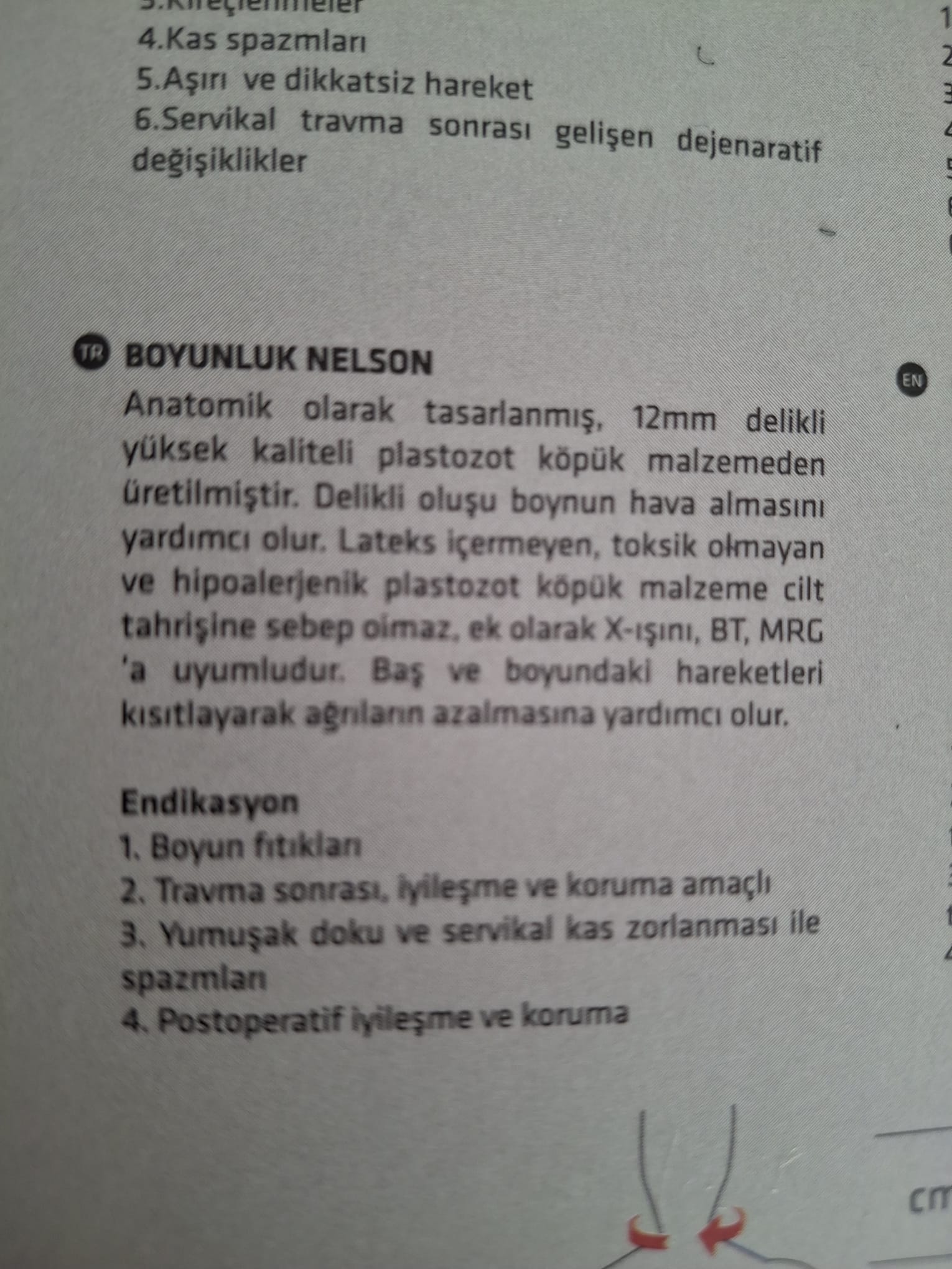 Text